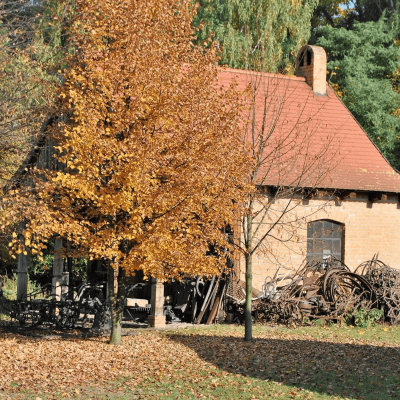 Skansen Budownictwa Ludowego Zachodniej Wielkopolski. Rekonstrukcja kuźni z Ziemina