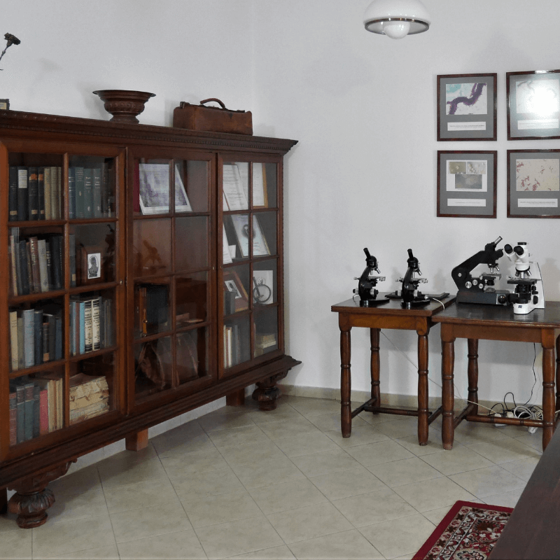 Muzeum dr. Roberta Kocha. Fragment ekspozycji stałej poświęconej życiu i pracy badawczej naukowca.