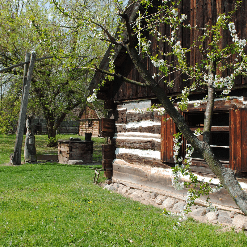 Skansen Budownictwa Ludowego Zachodniej Wielkopolski. Na pierwszym planie fragment karczmy z Solca Nowego. W tle fragment chaty parobka.